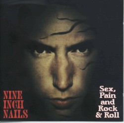 Sex, Pain and Rock & Roll by Nine Inch Nails