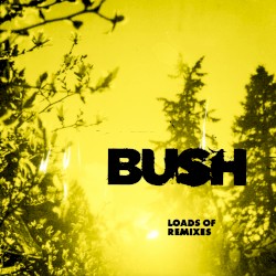 Loads of Remixes – Bush