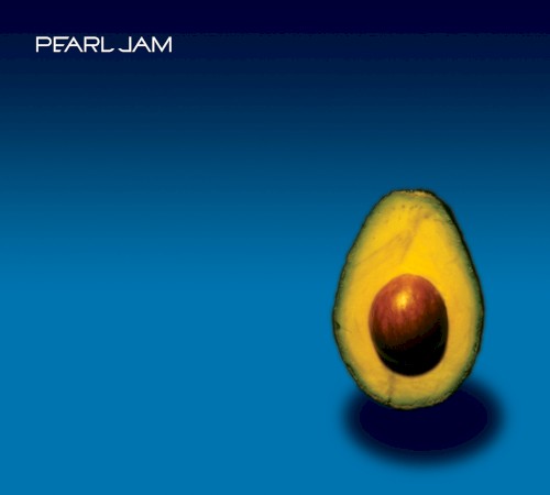 Pearl Jam cover