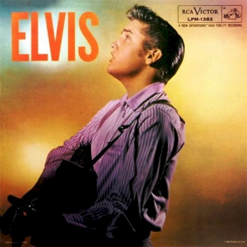 Elvis cover