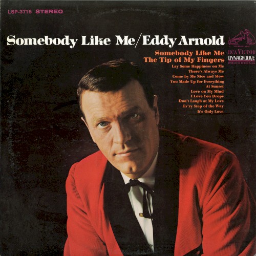 Somebody Like Me cover