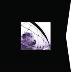Vs. and Vitalogy by Pearl Jam