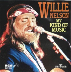 My Kind of Music by Willie Nelson