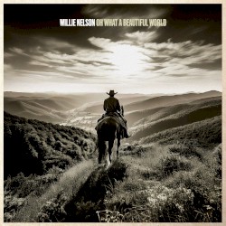 Oh What a Beautiful World by Willie Nelson
