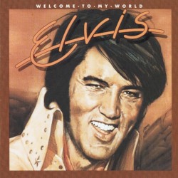 Welcome to My World by Elvis Presley